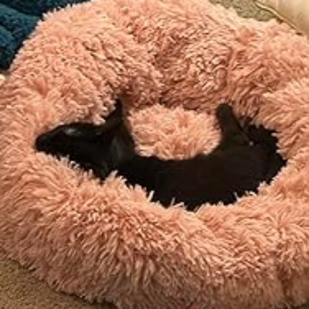 Dog Bed for Small Dogs